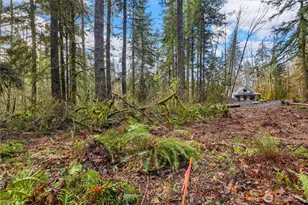 55011 315th Ave E, Ashford, WA 98304 - Photo 1