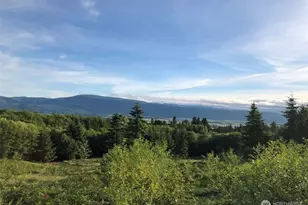 24 Kristy Kay Ln, Cathlamet, WA 98612 - Photo 1