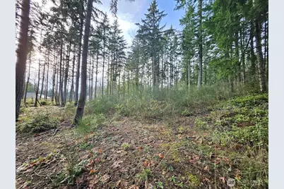 1906 NE Paulson Road, Poulsbo, WA 98370 - Photo 1