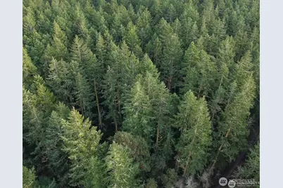 927 Bell Street, Port Townsend, WA 98368 - Photo 1