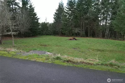 114 Skyview Road, Woodland, WA 98674 - Photo 1