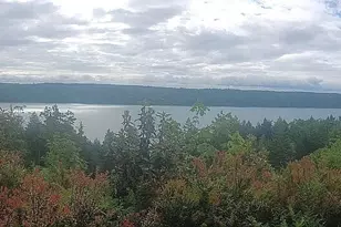 931 N Colony Surf Dr, Lilliwaup, WA 98555 - Photo 1