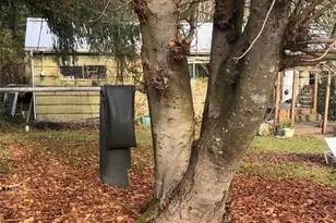 2816 18th Ave NE, Olympia, WA 98506 - Photo 1