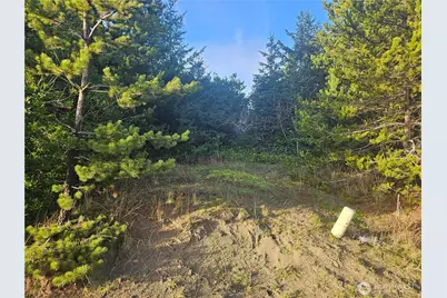 276 S Wynoochee Drive SW, Ocean Shores, WA 98569 - Photo 1