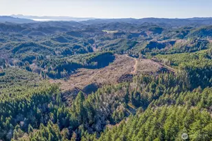 0 West Deep River Rd, Deep River, WA 98638 - Photo 1