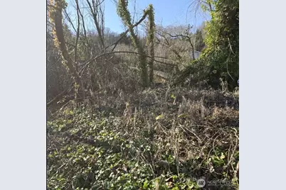 8826 3rd Avenue S, Seattle, WA 98108 - Photo 1