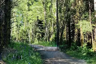 290 Luttrell Ln Lot 4, Chinook, WA 98614 - Photo 1