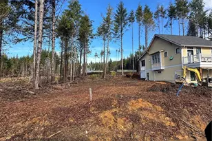 45 Bungalow Loop, Pacific Beach, WA 98571 - Photo 1