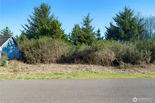 940 Wawona Ave SE, Ocean Shores, WA 98569 - Photo 1