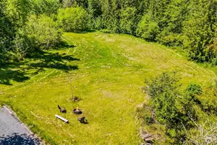 39028 32nd Ave E, Eatonville, WA 98328 - Photo 1
