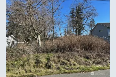 0 Pinecrest Avenue, Coupeville, WA 98239 - Photo 1