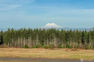 0 Silverwood Dr, Castle Rock, WA 98611 - Photo 1