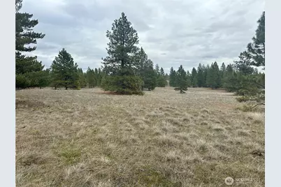 72 Winlock Road, Goldendale, WA 98620 - Photo 1