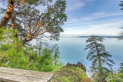 104 Barn Owl Trail, Orcas Island, WA 98245 - Photo 1