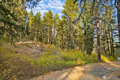 15 Xx Elk Heights Road, Cle Elum, WA 98922 - Photo 1