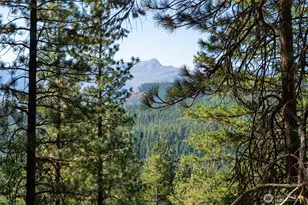 25607 Camp 12 Rd, Leavenworth, WA 98826 - Photo 1