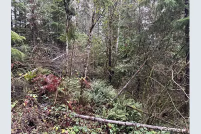 896 N Lake Cushman Drive, Hoodsport, WA 98548 - Photo 1