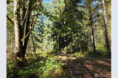 16616 NE Woodinville-Duvall Road, Woodinville, WA 98072 - Photo 1