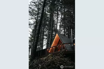 109 Cottonwood Road, Packwood, WA 98361 - Photo 1