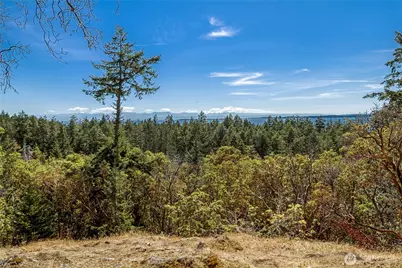179 High Haro Drive, San Juan Island, WA 98250 - Photo 1