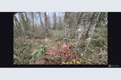 37116 E 103rd Avenue Ct, Eatonville, WA 98328 - Photo 1