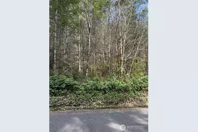 0 Xx Summers Road, Centralia, WA 98531 - Photo 1