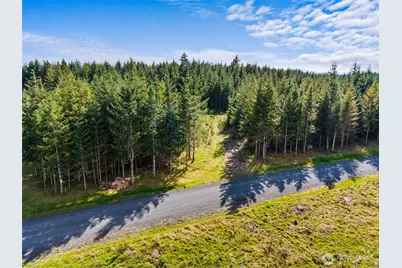 203 Bear Creek Lane, Winlock, WA 98596 - Photo 1