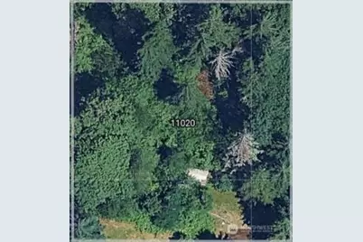 11020 NE 108th Street, Kirkland, WA 98033 - Photo 1