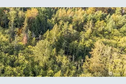 0 Kolisch Road E, Carbonado, WA 98323 - Photo 1