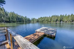 3 NE Wildberry Lake Dr, Tahuya, WA 98588 - Photo 1