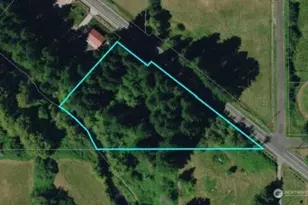 0 NE Cedar Creek Rd, Amboy, WA 98601 - Photo 1