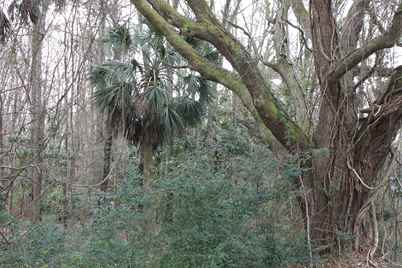 0 Highway 162, Hollywood, SC 29449 - Photo 1