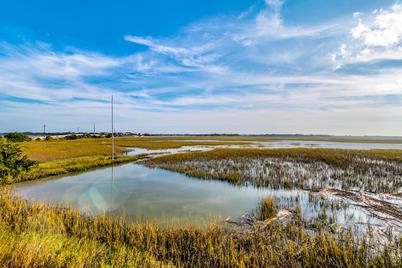 2123 Tides End Road, Charleston, SC 29412 - Photo 1