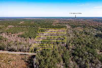 1 Dennis Britt Road, Saint George, SC 29477 - Photo 1