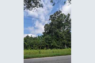 0 Highway 174, Adams Run, SC 29426 - Photo 1