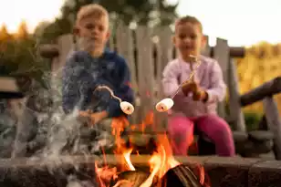 3000 Winding Grove Ln, Moncks Corner, SC 29461 - Photo 28