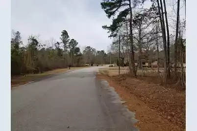 0 Sorin Circle, Elloree, SC 29047 - Photo 2