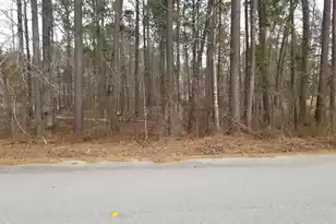 0 Sorin Circle, Elloree, SC 29047 - Photo 1