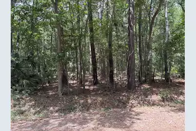00 James Weston Drive, Mount Pleasant, SC 29429 - Photo 4