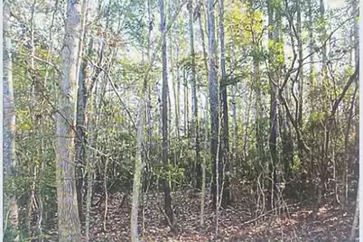 00 James Weston Drive, Mount Pleasant, SC 29429 - Photo 4