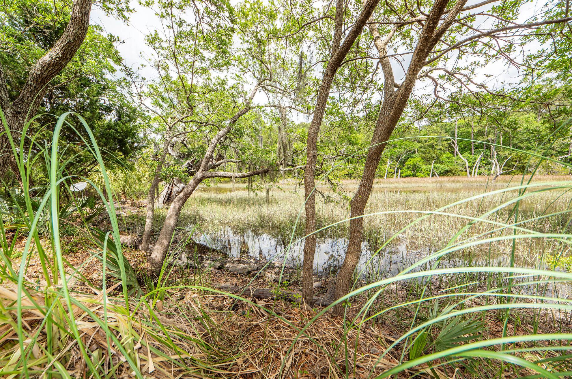 2128 Rookery Ln, Charleston SC 29414-5355 exterior