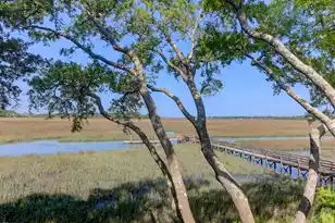 1721 Live Oak Park, Seabrook Island, SC 29455 - Photo 22