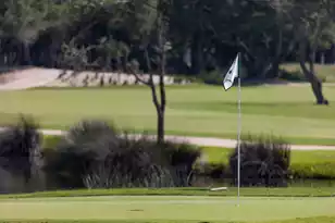 1721 Live Oak Park, Seabrook Island, SC 29455 - Photo 38