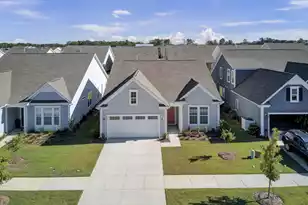 253 River Martin Ct, Summerville, SC 29483 - Photo 2