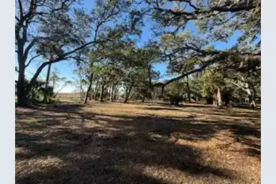 0 Hammocks Way, Edisto Island, SC 29438 - Photo 2