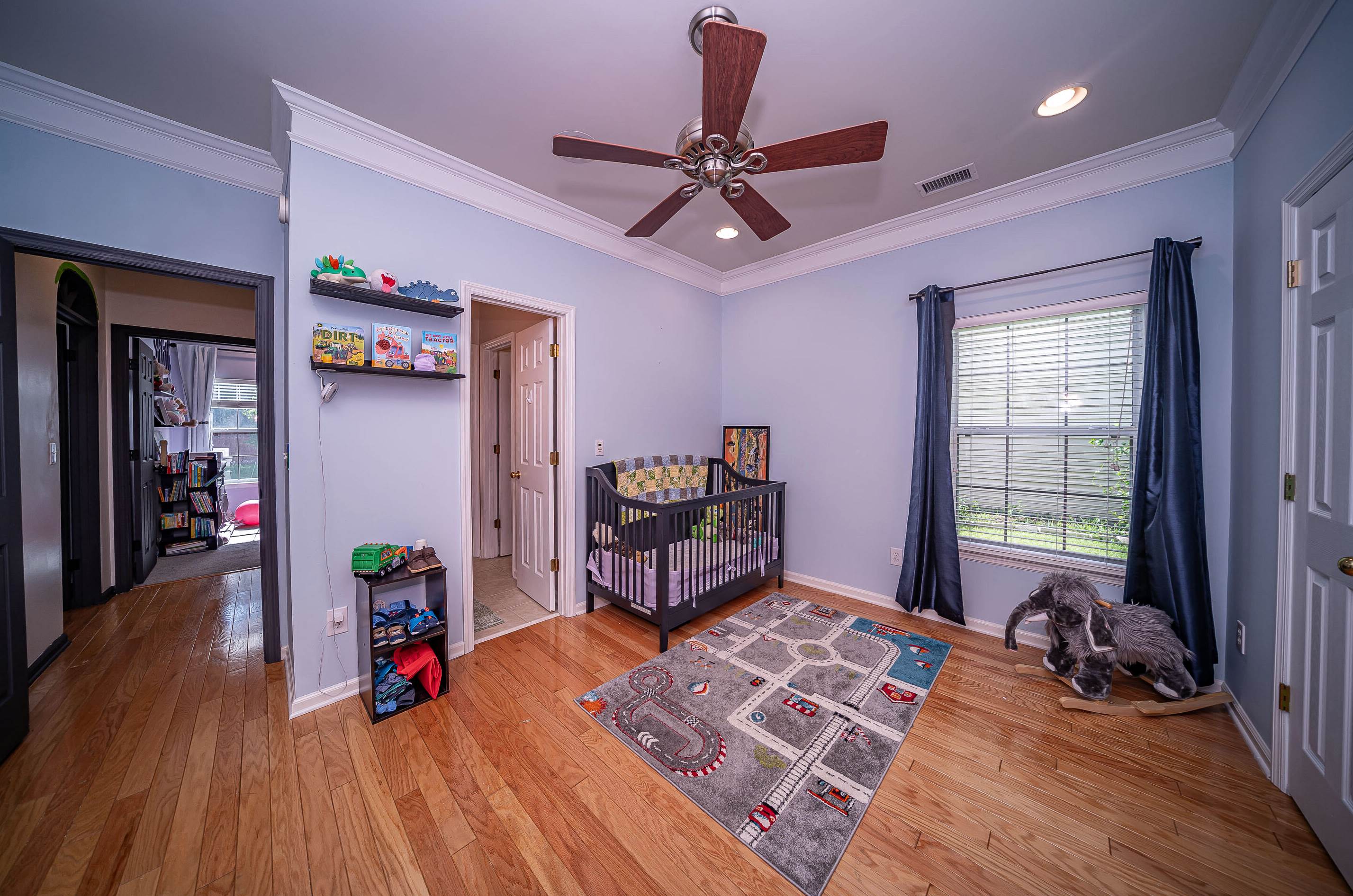 421 Blue Jasmine Ln, Charleston SC 29414-9060 exterior