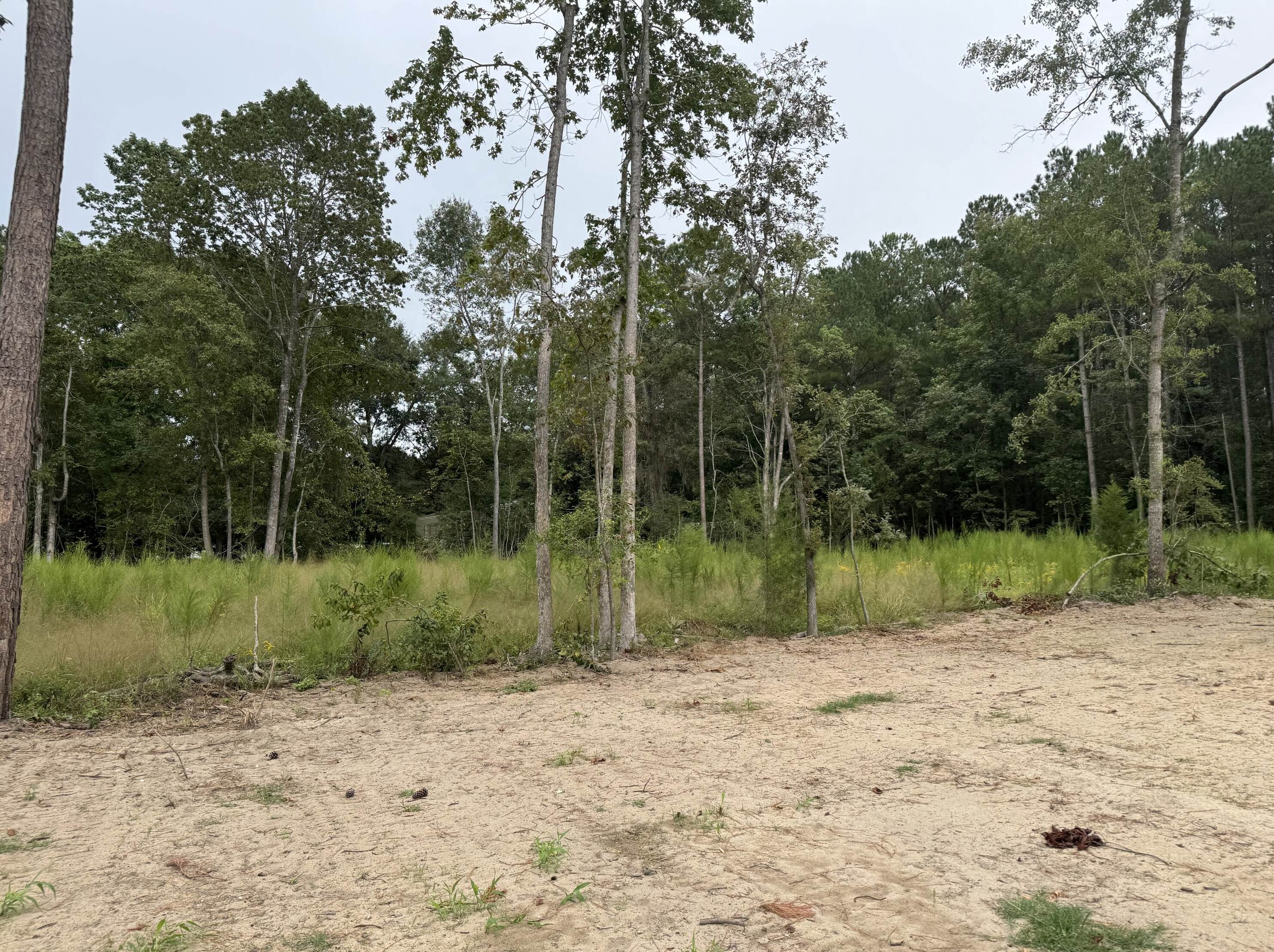 171 Ash Hill Dr, Eutawville, SC 29048