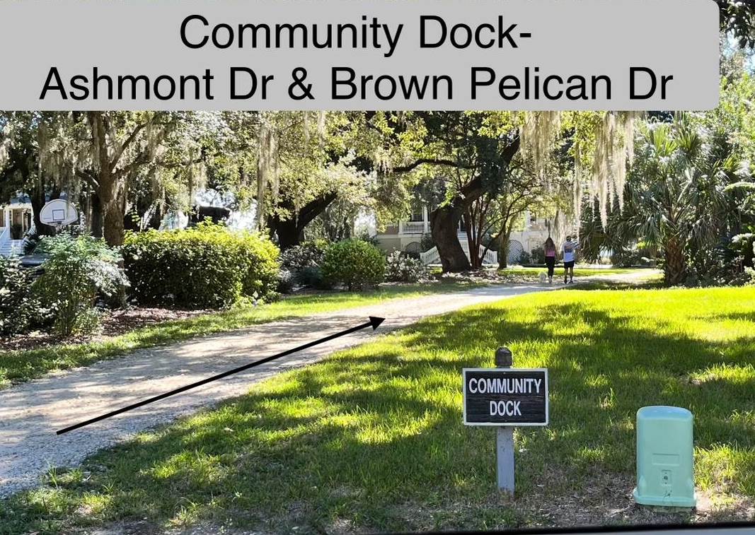 234 Ashmont Dr, Charleston SC 29492-7811 exterior