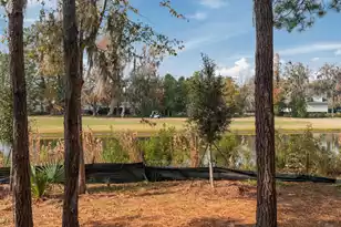 420 Carolina Cherry Ct, Charleston, SC 29414 - Photo 2