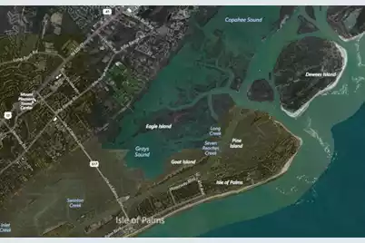 284 Pelican Flight Drive, Dewees Island, SC 29451 - Photo 14